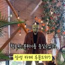 루몽드917 이미지