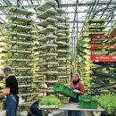 미래비전농장 이미지