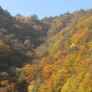 동활 이미지