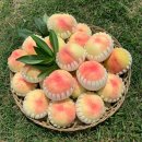 대은농장 이미지