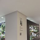 애견프라자 | 솔라리아플라자 p2 애견용품점 후기