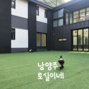 토실이네 애견 이미지