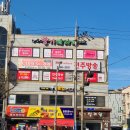 뱅갈온니 이미지