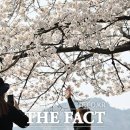 [오늘의 날씨] 오전 맑다가 밤부터 비 소식…낮 최고 14~20도 이미지