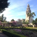 캘리포니아(California) 티스토리