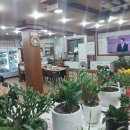 아구본가 이미지