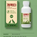 장천드림약국 이미지