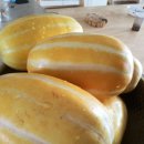 초촌농장 이미지