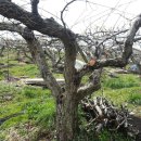 거운농장 이미지