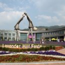 허브밸리(축제장) 이미지