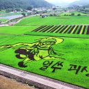 괴산꿀벌영농조합법인 네이버블로그