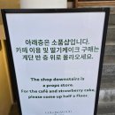 솔트앤베리