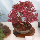 고운초등학교 이미지