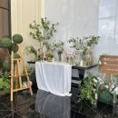 대전 라비에벨 본식후기(희소,루아스포사,프롬모먼트,소유한복)