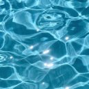 마스터스윔 이미지