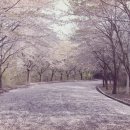 도심건강길 5길 이미지