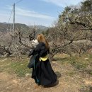 원동교통(주) 이미지