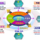 케이챔프전략연구소