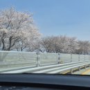 광의사거리 이미지