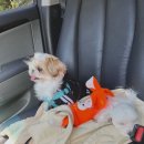 광안동물병원 이미지