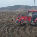 교동면-4 이미지