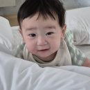 키즈베이 이미지