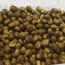 채릇채릇 이미지