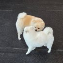 멍데이 유치원 이미지