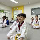 미소나무 태권도장(새싹관) | 대구 장기동 장동초태권도 2025년 4월 승급심사 &amp; 레벨 테스트