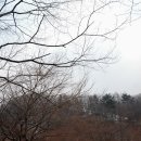 인오캠핑장 이미지