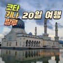 세탁하는날 이미지