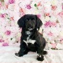 부영3차아파트 이미지