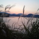 바람의노래 이미지