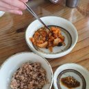 내포칼국수 이미지