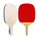 탁구초급 이미지