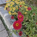 옥천로 | 여수 순천 가족여행 숙소 &#39;오차드 123&#39;에서 여유롭게 즐기고 왔어요