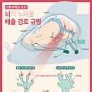 365금손약손한의원 이미지