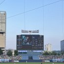 창뜰농장 | 창원 NC 파크 직관 후기 (전재경 스시 예약 방법 및 113구역 시야)