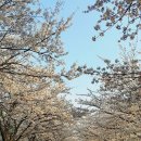 신석체육공원 입구 이미지