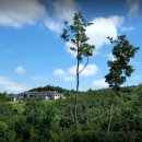 안동리버힐 컨트리클럽 이미지