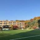 보라초등학교 이미지