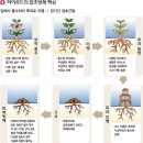 서부농약사 이미지