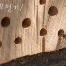 굿모닝보청기 용인센터 이미지