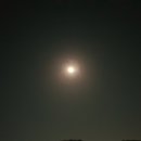 참달