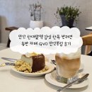 석호공원로1 | 한대앞역 감성 한옥 반려견 동반 카페 GVO 안산본점 후기
