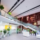 강서자동차정비 이미지