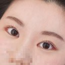 와이블 | 구미 산동 속눈썹펌 잘하는 와이블룸