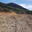 우원부동산공인중개사사무소 이미지