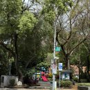 자유롭게 떠나는 여행영어 첫걸음(기초) | 4박 5일 아이랑 대만 여행, 대만 호텔 추천_다안구 셰누 호텔(chez nous HOTEL)