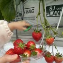 세용농장 이미지